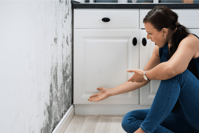 You are currently viewing How To Remove Mildew From Your Airbnb