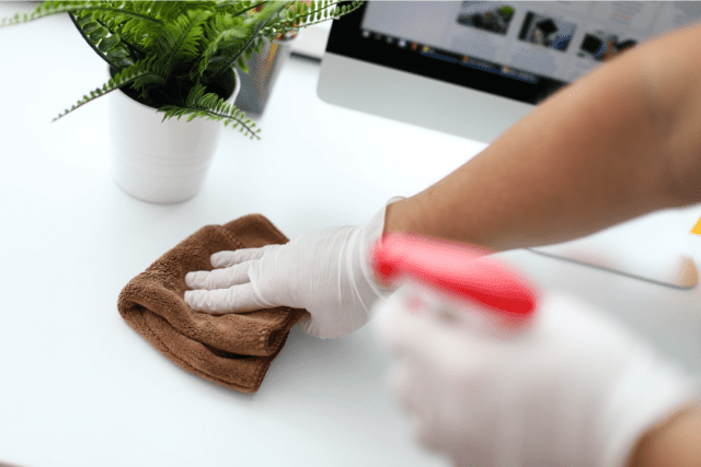 Prevent Dust Mites In Your Office