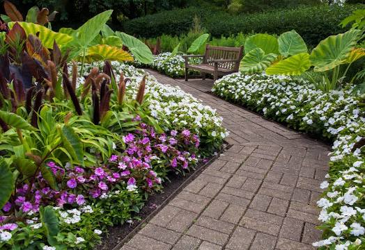 Cleaning Services Glendale Height