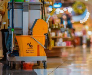 services maid Highland Park