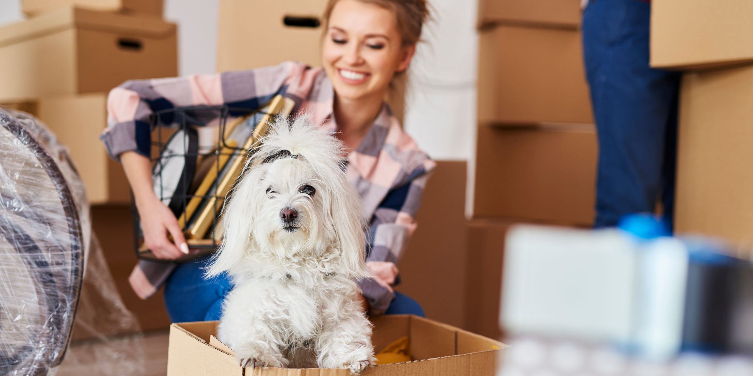 Read more about the article What Should I Do To Prepare For A Move Out Cleaning?