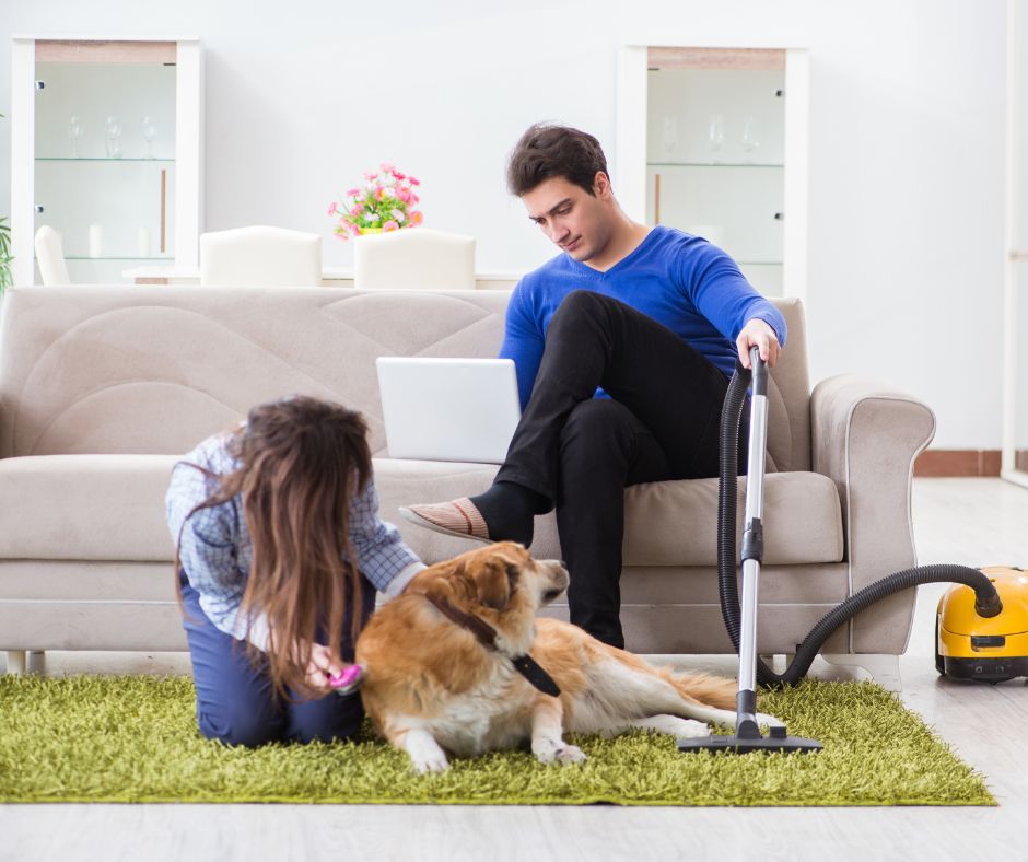 Are pet cleaners safe for my pets