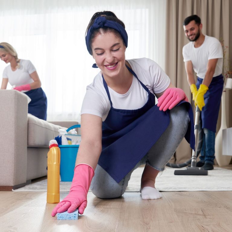 cleaning service in spring grove il