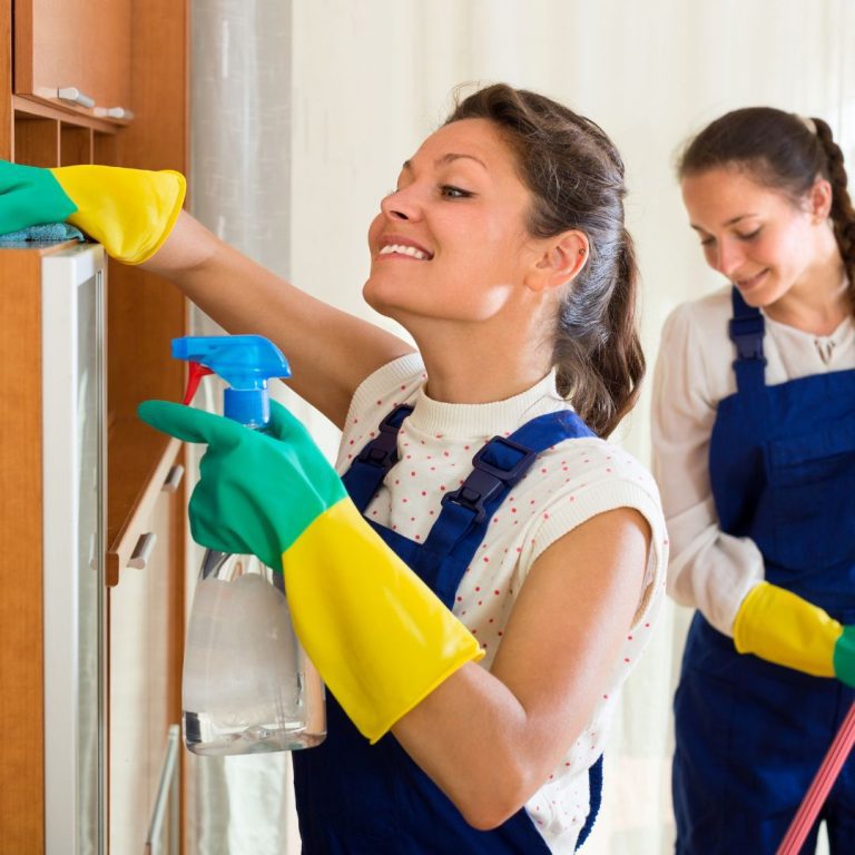 moving cleaning service in schaumburg il