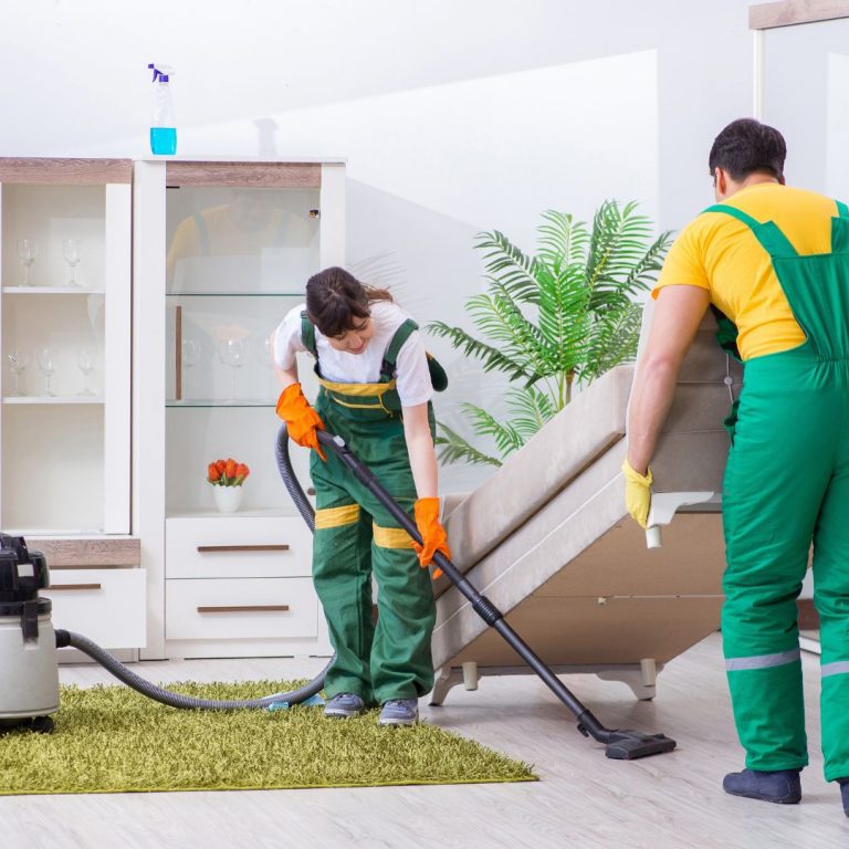 moving cleaning service in wood dale il