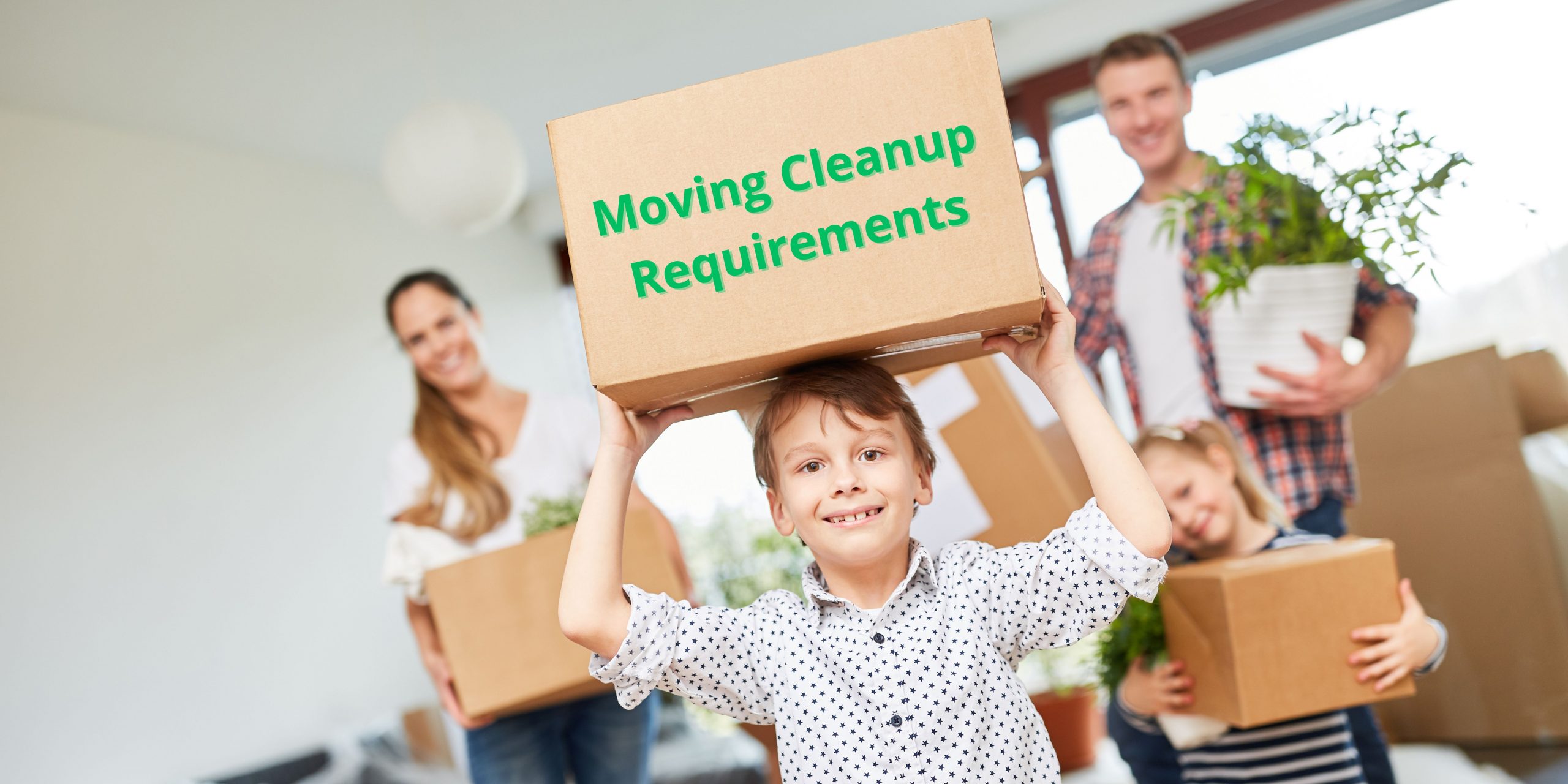 You are currently viewing Moving Cleanup Requirements
