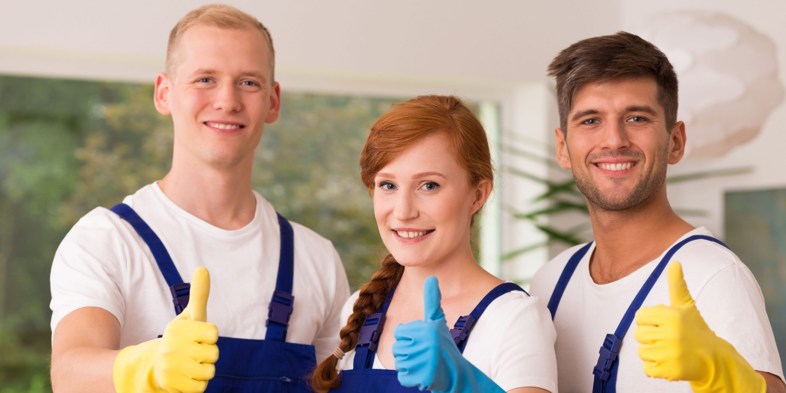 Read more about the article Difference Between Normal And Deep Cleaning